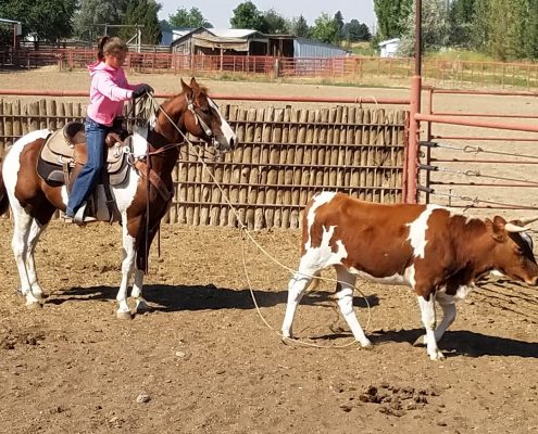 Horse Hair Humidistat  ASHRAE® Iowa Chapter